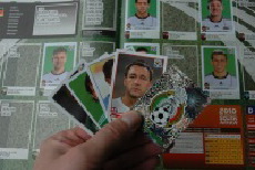Panini 2010